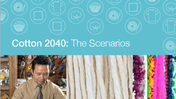 Cotton 2040: The scenarios